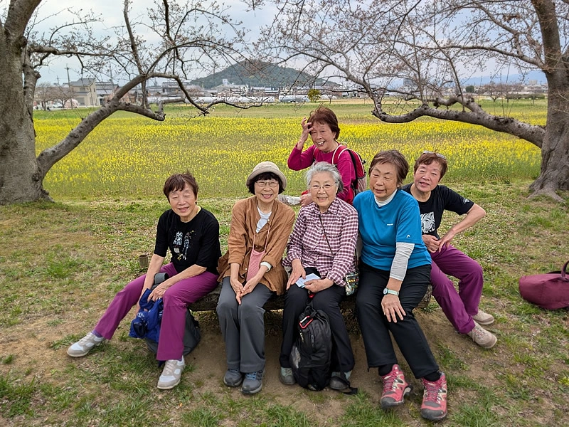 藤原旧跡から耳成山を望む