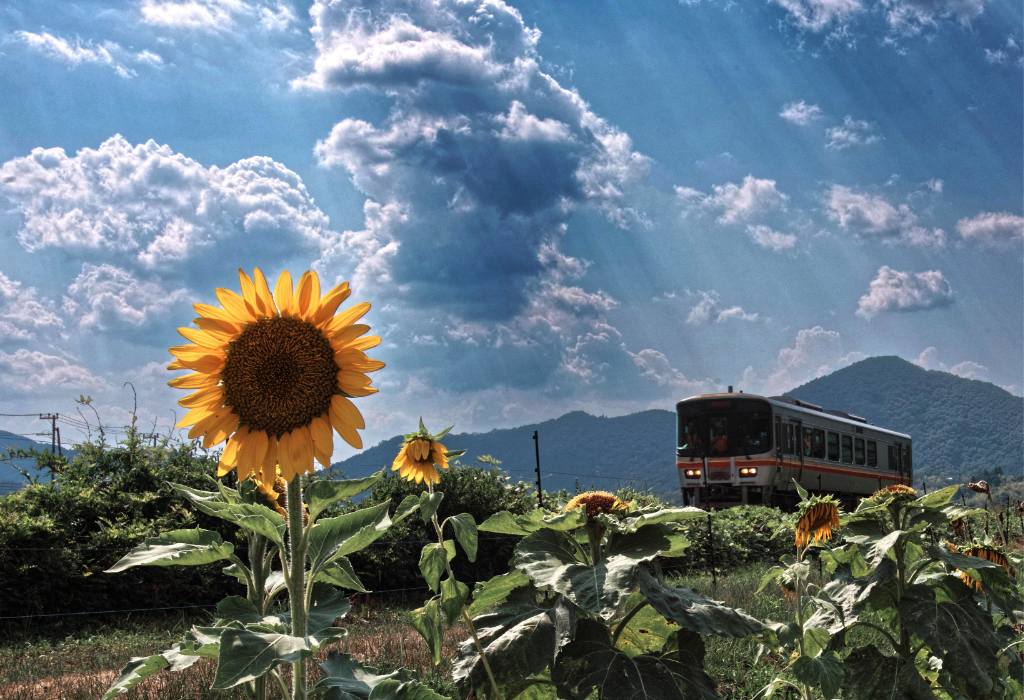 写真「酷暑」　宮永秀夫